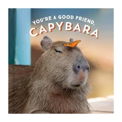 You're A Good Friend, Capybara by Chronicle Books
