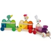 Zigolos Giant Multicolour Pull Along Train by Janod